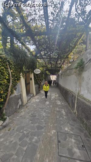[P18] la pas prin Positano » foto by robert
 - 
<span class="allrVoted glyphicon glyphicon-heart hidden" id="av1532022"></span>
<a class="m-l-10 hidden" id="sv1532022" onclick="voting_Foto_DelVot(,1532022,17505)" role="button">șterge vot <span class="glyphicon glyphicon-remove"></span></a>
<a id="v91532022" class=" c-red"  onclick="voting_Foto_SetVot(1532022)" role="button"><span class="glyphicon glyphicon-heart-empty"></span> <b>LIKE</b> = Votează poza</a> <img class="hidden"  id="f1532022W9" src="/imagini/loader.gif" border="0" /><span class="AjErrMes hidden" id="e1532022ErM"></span>