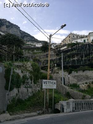 [P69] Vettica, o suburbie a Amalfi și terasele cu lămâi » foto by crismis
 - 
<span class="allrVoted glyphicon glyphicon-heart hidden" id="av961834"></span>
<a class="m-l-10 hidden" id="sv961834" onclick="voting_Foto_DelVot(,961834,17505)" role="button">șterge vot <span class="glyphicon glyphicon-remove"></span></a>
<a id="v9961834" class=" c-red"  onclick="voting_Foto_SetVot(961834)" role="button"><span class="glyphicon glyphicon-heart-empty"></span> <b>LIKE</b> = Votează poza</a> <img class="hidden"  id="f961834W9" src="/imagini/loader.gif" border="0" /><span class="AjErrMes hidden" id="e961834ErM"></span>