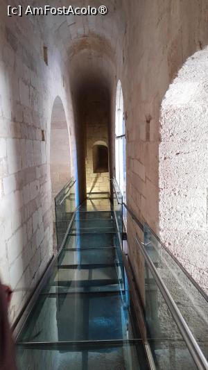 [P19] abatia Montmajour,manastirea Saint Maur, pasarela de sticla deasupra pivnitelor » foto by Yolanda
 - 
<span class="allrVoted glyphicon glyphicon-heart hidden" id="av1519083"></span>
<a class="m-l-10 hidden" id="sv1519083" onclick="voting_Foto_DelVot(,1519083,17531)" role="button">șterge vot <span class="glyphicon glyphicon-remove"></span></a>
<a id="v91519083" class=" c-red"  onclick="voting_Foto_SetVot(1519083)" role="button"><span class="glyphicon glyphicon-heart-empty"></span> <b>LIKE</b> = Votează poza</a> <img class="hidden"  id="f1519083W9" src="/imagini/loader.gif" border="0" /><span class="AjErrMes hidden" id="e1519083ErM"></span>