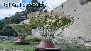 [P36] abatia Montmajour, terasa » foto by Yolanda
 - 
<span class="allrVoted glyphicon glyphicon-heart hidden" id="av1519100"></span>
<a class="m-l-10 hidden" id="sv1519100" onclick="voting_Foto_DelVot(,1519100,17531)" role="button">șterge vot <span class="glyphicon glyphicon-remove"></span></a>
<a id="v91519100" class=" c-red"  onclick="voting_Foto_SetVot(1519100)" role="button"><span class="glyphicon glyphicon-heart-empty"></span> <b>LIKE</b> = Votează poza</a> <img class="hidden"  id="f1519100W9" src="/imagini/loader.gif" border="0" /><span class="AjErrMes hidden" id="e1519100ErM"></span>