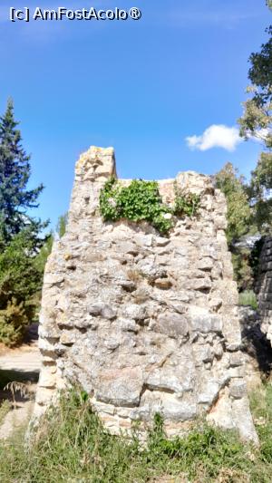 [P39] apeductul roman » foto by Yolanda
 - 
<span class="allrVoted glyphicon glyphicon-heart hidden" id="av1519103"></span>
<a class="m-l-10 hidden" id="sv1519103" onclick="voting_Foto_DelVot(,1519103,17531)" role="button">șterge vot <span class="glyphicon glyphicon-remove"></span></a>
<a id="v91519103" class=" c-red"  onclick="voting_Foto_SetVot(1519103)" role="button"><span class="glyphicon glyphicon-heart-empty"></span> <b>LIKE</b> = Votează poza</a> <img class="hidden"  id="f1519103W9" src="/imagini/loader.gif" border="0" /><span class="AjErrMes hidden" id="e1519103ErM"></span>