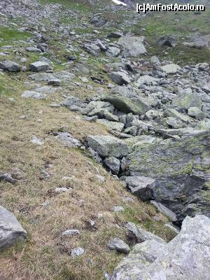 [P07] pe aici pe undeva se ascund vreo doua marmote. nu stiu daca se vad in poza, nu prea le place sa stea la poza. oricum, foarte aproape de ele nu poti ajunge, ca dispar repede printre stanci, iar aparatul cu zoom puternic nu l-am mai carat. speram data viitoare » foto by fra
 - 
<span class="allrVoted glyphicon glyphicon-heart hidden" id="av653958"></span>
<a class="m-l-10 hidden" id="sv653958" onclick="voting_Foto_DelVot(,653958,17545)" role="button">șterge vot <span class="glyphicon glyphicon-remove"></span></a>
<a id="v9653958" class=" c-red"  onclick="voting_Foto_SetVot(653958)" role="button"><span class="glyphicon glyphicon-heart-empty"></span> <b>LIKE</b> = Votează poza</a> <img class="hidden"  id="f653958W9" src="/imagini/loader.gif" border="0" /><span class="AjErrMes hidden" id="e653958ErM"></span>