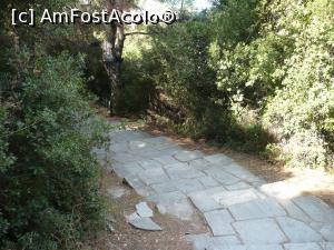 [P12] scarile care urca spre teatrul antic » foto by danutapop
 - 
<span class="allrVoted glyphicon glyphicon-heart hidden" id="av820040"></span>
<a class="m-l-10 hidden" id="sv820040" onclick="voting_Foto_DelVot(,820040,17584)" role="button">șterge vot <span class="glyphicon glyphicon-remove"></span></a>
<a id="v9820040" class=" c-red"  onclick="voting_Foto_SetVot(820040)" role="button"><span class="glyphicon glyphicon-heart-empty"></span> <b>LIKE</b> = Votează poza</a> <img class="hidden"  id="f820040W9" src="/imagini/loader.gif" border="0" /><span class="AjErrMes hidden" id="e820040ErM"></span>