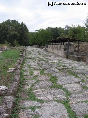 [P26] Drum pavat - Dion.  » foto by tata123 🔱
 - 
<span class="allrVoted glyphicon glyphicon-heart hidden" id="av635723"></span>
<a class="m-l-10 hidden" id="sv635723" onclick="voting_Foto_DelVot(,635723,17685)" role="button">șterge vot <span class="glyphicon glyphicon-remove"></span></a>
<a id="v9635723" class=" c-red"  onclick="voting_Foto_SetVot(635723)" role="button"><span class="glyphicon glyphicon-heart-empty"></span> <b>LIKE</b> = Votează poza</a> <img class="hidden"  id="f635723W9" src="/imagini/loader.gif" border="0" /><span class="AjErrMes hidden" id="e635723ErM"></span>