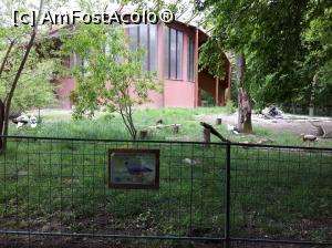 [P27] Grădina Zoo Tg. Mureșpavilionul elefantilor » foto by Dana2008
 - 
<span class="allrVoted glyphicon glyphicon-heart hidden" id="av1070761"></span>
<a class="m-l-10 hidden" id="sv1070761" onclick="voting_Foto_DelVot(,1070761,17687)" role="button">șterge vot <span class="glyphicon glyphicon-remove"></span></a>
<a id="v91070761" class=" c-red"  onclick="voting_Foto_SetVot(1070761)" role="button"><span class="glyphicon glyphicon-heart-empty"></span> <b>LIKE</b> = Votează poza</a> <img class="hidden"  id="f1070761W9" src="/imagini/loader.gif" border="0" /><span class="AjErrMes hidden" id="e1070761ErM"></span>