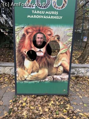 [P10] Zoo Târgu Mureș,cunoașteți acest animal urât din specia AZE ? » foto by AZE
 - 
<span class="allrVoted glyphicon glyphicon-heart hidden" id="av1397492"></span>
<a class="m-l-10 hidden" id="sv1397492" onclick="voting_Foto_DelVot(,1397492,17687)" role="button">șterge vot <span class="glyphicon glyphicon-remove"></span></a>
<a id="v91397492" class=" c-red"  onclick="voting_Foto_SetVot(1397492)" role="button"><span class="glyphicon glyphicon-heart-empty"></span> <b>LIKE</b> = Votează poza</a> <img class="hidden"  id="f1397492W9" src="/imagini/loader.gif" border="0" /><span class="AjErrMes hidden" id="e1397492ErM"></span>