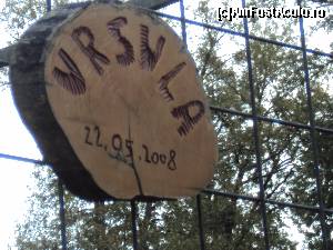 [P21] 19. Zona aferentă fiecărui urs este identificată de o „carte de vizită” prinsă de gard.  » foto by msnd
 - 
<span class="allrVoted glyphicon glyphicon-heart hidden" id="av578555"></span>
<a class="m-l-10 hidden" id="sv578555" onclick="voting_Foto_DelVot(,578555,17778)" role="button">șterge vot <span class="glyphicon glyphicon-remove"></span></a>
<a id="v9578555" class=" c-red"  onclick="voting_Foto_SetVot(578555)" role="button"><span class="glyphicon glyphicon-heart-empty"></span> <b>LIKE</b> = Votează poza</a> <img class="hidden"  id="f578555W9" src="/imagini/loader.gif" border="0" /><span class="AjErrMes hidden" id="e578555ErM"></span>