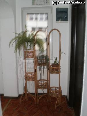 [P18] HOTEL MARASESTI-STATIV FLORI, HOL ETAJUL 1 » foto by ile57b
 - 
<span class="allrVoted glyphicon glyphicon-heart hidden" id="av579798"></span>
<a class="m-l-10 hidden" id="sv579798" onclick="voting_Foto_DelVot(,579798,17793)" role="button">șterge vot <span class="glyphicon glyphicon-remove"></span></a>
<a id="v9579798" class=" c-red"  onclick="voting_Foto_SetVot(579798)" role="button"><span class="glyphicon glyphicon-heart-empty"></span> <b>LIKE</b> = Votează poza</a> <img class="hidden"  id="f579798W9" src="/imagini/loader.gif" border="0" /><span class="AjErrMes hidden" id="e579798ErM"></span>