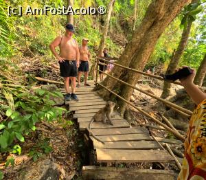 [P50] Monkey Trail - maimute » foto by elenaadina
 - 
<span class="allrVoted glyphicon glyphicon-heart hidden" id="av1524882"></span>
<a class="m-l-10 hidden" id="sv1524882" onclick="voting_Foto_DelVot(,1524882,17822)" role="button">șterge vot <span class="glyphicon glyphicon-remove"></span></a>
<a id="v91524882" class=" c-red"  onclick="voting_Foto_SetVot(1524882)" role="button"><span class="glyphicon glyphicon-heart-empty"></span> <b>LIKE</b> = Votează poza</a> <img class="hidden"  id="f1524882W9" src="/imagini/loader.gif" border="0" /><span class="AjErrMes hidden" id="e1524882ErM"></span>