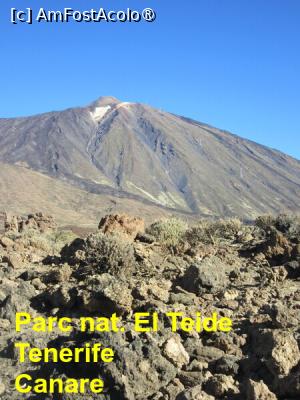 [P23] Vulcanul El Teide din parcul national » foto by Michi
 - 
<span class="allrVoted glyphicon glyphicon-heart hidden" id="av1453268"></span>
<a class="m-l-10 hidden" id="sv1453268" onclick="voting_Foto_DelVot(,1453268,17887)" role="button">șterge vot <span class="glyphicon glyphicon-remove"></span></a>
<a id="v91453268" class=" c-red"  onclick="voting_Foto_SetVot(1453268)" role="button"><span class="glyphicon glyphicon-heart-empty"></span> <b>LIKE</b> = Votează poza</a> <img class="hidden"  id="f1453268W9" src="/imagini/loader.gif" border="0" /><span class="AjErrMes hidden" id="e1453268ErM"></span>