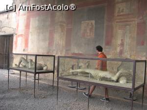 [P38] Pompei, Italia » foto by Michi
 - 
<span class="allrVoted glyphicon glyphicon-heart hidden" id="av1482870"></span>
<a class="m-l-10 hidden" id="sv1482870" onclick="voting_Foto_DelVot(,1482870,17887)" role="button">șterge vot <span class="glyphicon glyphicon-remove"></span></a>
<a id="v91482870" class=" c-red"  onclick="voting_Foto_SetVot(1482870)" role="button"><span class="glyphicon glyphicon-heart-empty"></span> <b>LIKE</b> = Votează poza</a> <img class="hidden"  id="f1482870W9" src="/imagini/loader.gif" border="0" /><span class="AjErrMes hidden" id="e1482870ErM"></span>
