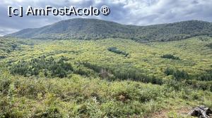 [P27] Am fost acolo sus, pe Măgura Codlei » foto by Mika
 - 
<span class="allrVoted glyphicon glyphicon-heart hidden" id="av1509306"></span>
<a class="m-l-10 hidden" id="sv1509306" onclick="voting_Foto_DelVot(,1509306,17992)" role="button">șterge vot <span class="glyphicon glyphicon-remove"></span></a>
<a id="v91509306" class=" c-red"  onclick="voting_Foto_SetVot(1509306)" role="button"><span class="glyphicon glyphicon-heart-empty"></span> <b>LIKE</b> = Votează poza</a> <img class="hidden"  id="f1509306W9" src="/imagini/loader.gif" border="0" /><span class="AjErrMes hidden" id="e1509306ErM"></span>