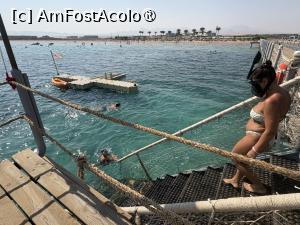 [P16] Snorkeliti in voie! » foto by ARA
 - 
<span class="allrVoted glyphicon glyphicon-heart hidden" id="av1506474"></span>
<a class="m-l-10 hidden" id="sv1506474" onclick="voting_Foto_DelVot(,1506474,18030)" role="button">șterge vot <span class="glyphicon glyphicon-remove"></span></a>
<a id="v91506474" class=" c-red"  onclick="voting_Foto_SetVot(1506474)" role="button"><span class="glyphicon glyphicon-heart-empty"></span> <b>LIKE</b> = Votează poza</a> <img class="hidden"  id="f1506474W9" src="/imagini/loader.gif" border="0" /><span class="AjErrMes hidden" id="e1506474ErM"></span>