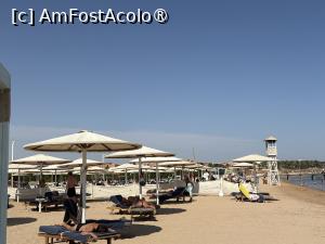 [P21] Tot la plajă! » foto by ARA
 - 
<span class="allrVoted glyphicon glyphicon-heart hidden" id="av1506479"></span>
<a class="m-l-10 hidden" id="sv1506479" onclick="voting_Foto_DelVot(,1506479,18030)" role="button">șterge vot <span class="glyphicon glyphicon-remove"></span></a>
<a id="v91506479" class=" c-red"  onclick="voting_Foto_SetVot(1506479)" role="button"><span class="glyphicon glyphicon-heart-empty"></span> <b>LIKE</b> = Votează poza</a> <img class="hidden"  id="f1506479W9" src="/imagini/loader.gif" border="0" /><span class="AjErrMes hidden" id="e1506479ErM"></span>