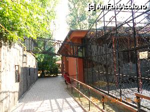 [P09] Zoo |Bucuresti - Baneasa » foto by gentleman30
 - 
<span class="allrVoted glyphicon glyphicon-heart hidden" id="av461781"></span>
<a class="m-l-10 hidden" id="sv461781" onclick="voting_Foto_DelVot(,461781,18082)" role="button">șterge vot <span class="glyphicon glyphicon-remove"></span></a>
<a id="v9461781" class=" c-red"  onclick="voting_Foto_SetVot(461781)" role="button"><span class="glyphicon glyphicon-heart-empty"></span> <b>LIKE</b> = Votează poza</a> <img class="hidden"  id="f461781W9" src="/imagini/loader.gif" border="0" /><span class="AjErrMes hidden" id="e461781ErM"></span>