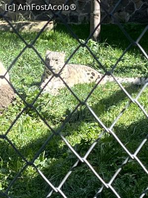 [P24] Grădina Zoo Brașov » foto by Yersinia Pestis
 - 
<span class="allrVoted glyphicon glyphicon-heart hidden" id="av1504004"></span>
<a class="m-l-10 hidden" id="sv1504004" onclick="voting_Foto_DelVot(,1504004,18241)" role="button">șterge vot <span class="glyphicon glyphicon-remove"></span></a>
<a id="v91504004" class=" c-red"  onclick="voting_Foto_SetVot(1504004)" role="button"><span class="glyphicon glyphicon-heart-empty"></span> <b>LIKE</b> = Votează poza</a> <img class="hidden"  id="f1504004W9" src="/imagini/loader.gif" border="0" /><span class="AjErrMes hidden" id="e1504004ErM"></span>