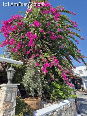 [P05] Restaurant Militzis » foto by ANILU
 - 
<span class="allrVoted glyphicon glyphicon-heart hidden" id="av1505196"></span>
<a class="m-l-10 hidden" id="sv1505196" onclick="voting_Foto_DelVot(,1505196,18341)" role="button">șterge vot <span class="glyphicon glyphicon-remove"></span></a>
<a id="v91505196" class=" c-red"  onclick="voting_Foto_SetVot(1505196)" role="button"><span class="glyphicon glyphicon-heart-empty"></span> <b>LIKE</b> = Votează poza</a> <img class="hidden"  id="f1505196W9" src="/imagini/loader.gif" border="0" /><span class="AjErrMes hidden" id="e1505196ErM"></span>