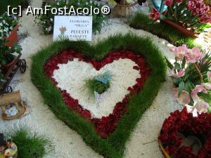 P16 [APR-2016] o inima florala din centrul expozitional -Casa Cartii