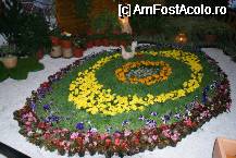 [P13] Încă o compoziţie florală din expoziţie » foto by Costi
 - 
<span class="allrVoted glyphicon glyphicon-heart hidden" id="av64811"></span>
<a class="m-l-10 hidden" id="sv64811" onclick="voting_Foto_DelVot(,64811,18372)" role="button">șterge vot <span class="glyphicon glyphicon-remove"></span></a>
<a id="v964811" class=" c-red"  onclick="voting_Foto_SetVot(64811)" role="button"><span class="glyphicon glyphicon-heart-empty"></span> <b>LIKE</b> = Votează poza</a> <img class="hidden"  id="f64811W9" src="/imagini/loader.gif" border="0" /><span class="AjErrMes hidden" id="e64811ErM"></span>