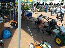 [P28] Festivalul 'Simfonia lalelelor' - expozitia din Casa Cartii - unelte de gradina » foto by magdalena
 - 
<span class="allrVoted glyphicon glyphicon-heart hidden" id="av65606"></span>
<a class="m-l-10 hidden" id="sv65606" onclick="voting_Foto_DelVot(,65606,18372)" role="button">șterge vot <span class="glyphicon glyphicon-remove"></span></a>
<a id="v965606" class=" c-red"  onclick="voting_Foto_SetVot(65606)" role="button"><span class="glyphicon glyphicon-heart-empty"></span> <b>LIKE</b> = Votează poza</a> <img class="hidden"  id="f65606W9" src="/imagini/loader.gif" border="0" /><span class="AjErrMes hidden" id="e65606ErM"></span>