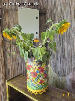 [P17] Luna de Corbu; decor » foto by crismis
 - 
<span class="allrVoted glyphicon glyphicon-heart hidden" id="av1538384"></span>
<a class="m-l-10 hidden" id="sv1538384" onclick="voting_Foto_DelVot(,1538384,18409)" role="button">șterge vot <span class="glyphicon glyphicon-remove"></span></a>
<a id="v91538384" class=" c-red"  onclick="voting_Foto_SetVot(1538384)" role="button"><span class="glyphicon glyphicon-heart-empty"></span> <b>LIKE</b> = Votează poza</a> <img class="hidden"  id="f1538384W9" src="/imagini/loader.gif" border="0" /><span class="AjErrMes hidden" id="e1538384ErM"></span>