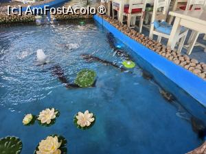 [P85] La Bunicul Trăsnit; sturioni » foto by crismis
 - 
<span class="allrVoted glyphicon glyphicon-heart hidden" id="av1538452"></span>
<a class="m-l-10 hidden" id="sv1538452" onclick="voting_Foto_DelVot(,1538452,18409)" role="button">șterge vot <span class="glyphicon glyphicon-remove"></span></a>
<a id="v91538452" class=" c-red"  onclick="voting_Foto_SetVot(1538452)" role="button"><span class="glyphicon glyphicon-heart-empty"></span> <b>LIKE</b> = Votează poza</a> <img class="hidden"  id="f1538452W9" src="/imagini/loader.gif" border="0" /><span class="AjErrMes hidden" id="e1538452ErM"></span>