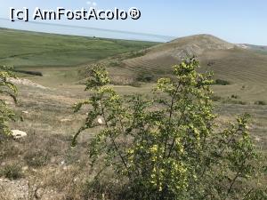 P10 [JUL-2020] Vedere de pe dealul Enisala