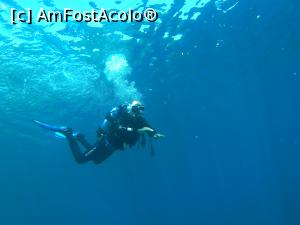 [P06] La SCUBA... puteti sa dati din picioare precum broasca (stiluul de inot brass) e mai natural, Instructorul ne spunea ca el asa face... sau miscati labele din genuchi... e mai obositor dar mai rapid...  » foto by costin1968
 - 
<span class="allrVoted glyphicon glyphicon-heart hidden" id="av914086"></span>
<a class="m-l-10 hidden" id="sv914086" onclick="voting_Foto_DelVot(,914086,18546)" role="button">șterge vot <span class="glyphicon glyphicon-remove"></span></a>
<a id="v9914086" class=" c-red"  onclick="voting_Foto_SetVot(914086)" role="button"><span class="glyphicon glyphicon-heart-empty"></span> <b>LIKE</b> = Votează poza</a> <img class="hidden"  id="f914086W9" src="/imagini/loader.gif" border="0" /><span class="AjErrMes hidden" id="e914086ErM"></span>