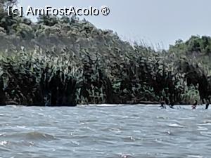 [P22] Delta Dunarii, habitat de pasari » foto by Yolanda
 - 
<span class="allrVoted glyphicon glyphicon-heart hidden" id="av1541331"></span>
<a class="m-l-10 hidden" id="sv1541331" onclick="voting_Foto_DelVot(,1541331,18727)" role="button">șterge vot <span class="glyphicon glyphicon-remove"></span></a>
<a id="v91541331" class=" c-red"  onclick="voting_Foto_SetVot(1541331)" role="button"><span class="glyphicon glyphicon-heart-empty"></span> <b>LIKE</b> = Votează poza</a> <img class="hidden"  id="f1541331W9" src="/imagini/loader.gif" border="0" /><span class="AjErrMes hidden" id="e1541331ErM"></span>