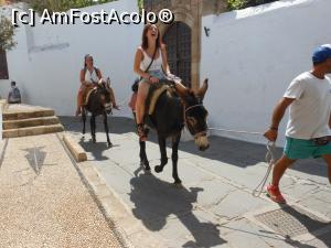 [P06] Lindos - antic și medieval. Pe măgăruși.  » foto by iulianic
 - 
<span class="allrVoted glyphicon glyphicon-heart hidden" id="av1017918"></span>
<a class="m-l-10 hidden" id="sv1017918" onclick="voting_Foto_DelVot(,1017918,18817)" role="button">șterge vot <span class="glyphicon glyphicon-remove"></span></a>
<a id="v91017918" class=" c-red"  onclick="voting_Foto_SetVot(1017918)" role="button"><span class="glyphicon glyphicon-heart-empty"></span> <b>LIKE</b> = Votează poza</a> <img class="hidden"  id="f1017918W9" src="/imagini/loader.gif" border="0" /><span class="AjErrMes hidden" id="e1017918ErM"></span>