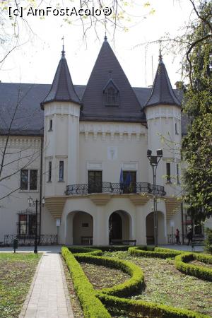 P02 [APR-2019] Carei, Castelul Károlyi, intrarea, se vede laleaua