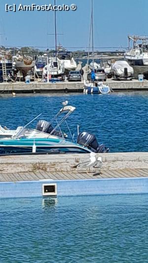 [P19] vedere Marina Eforie Nord » foto by Yolanda
 - 
<span class="allrVoted glyphicon glyphicon-heart hidden" id="av1482651"></span>
<a class="m-l-10 hidden" id="sv1482651" onclick="voting_Foto_DelVot(,1482651,18876)" role="button">șterge vot <span class="glyphicon glyphicon-remove"></span></a>
<a id="v91482651" class=" c-red"  onclick="voting_Foto_SetVot(1482651)" role="button"><span class="glyphicon glyphicon-heart-empty"></span> <b>LIKE</b> = Votează poza</a> <img class="hidden"  id="f1482651W9" src="/imagini/loader.gif" border="0" /><span class="AjErrMes hidden" id="e1482651ErM"></span>