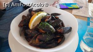 [P26] scoici mariniere » foto by Yolanda
 - 
<span class="allrVoted glyphicon glyphicon-heart hidden" id="av1482658"></span>
<a class="m-l-10 hidden" id="sv1482658" onclick="voting_Foto_DelVot(,1482658,18876)" role="button">șterge vot <span class="glyphicon glyphicon-remove"></span></a>
<a id="v91482658" class=" c-red"  onclick="voting_Foto_SetVot(1482658)" role="button"><span class="glyphicon glyphicon-heart-empty"></span> <b>LIKE</b> = Votează poza</a> <img class="hidden"  id="f1482658W9" src="/imagini/loader.gif" border="0" /><span class="AjErrMes hidden" id="e1482658ErM"></span>