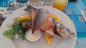 [P27] biban de mare fript pe plita » foto by Yolanda
 - 
<span class="allrVoted glyphicon glyphicon-heart hidden" id="av1482659"></span>
<a class="m-l-10 hidden" id="sv1482659" onclick="voting_Foto_DelVot(,1482659,18876)" role="button">șterge vot <span class="glyphicon glyphicon-remove"></span></a>
<a id="v91482659" class=" c-red"  onclick="voting_Foto_SetVot(1482659)" role="button"><span class="glyphicon glyphicon-heart-empty"></span> <b>LIKE</b> = Votează poza</a> <img class="hidden"  id="f1482659W9" src="/imagini/loader.gif" border="0" /><span class="AjErrMes hidden" id="e1482659ErM"></span>