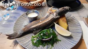 [P41] biban de mare La Petre Pescarul » foto by Yolanda
 - 
<span class="allrVoted glyphicon glyphicon-heart hidden" id="av1482673"></span>
<a class="m-l-10 hidden" id="sv1482673" onclick="voting_Foto_DelVot(,1482673,18876)" role="button">șterge vot <span class="glyphicon glyphicon-remove"></span></a>
<a id="v91482673" class=" c-red"  onclick="voting_Foto_SetVot(1482673)" role="button"><span class="glyphicon glyphicon-heart-empty"></span> <b>LIKE</b> = Votează poza</a> <img class="hidden"  id="f1482673W9" src="/imagini/loader.gif" border="0" /><span class="AjErrMes hidden" id="e1482673ErM"></span>
