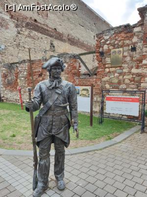 [P27] Prin proiectul „Reabilitarea Centrului Istoric Alba Iulia”, au fost realizate statuile de bronz, amplasand 31 de statui si monumente noi, intre care soldati austrieci, romani si personaje din perioada interbelica. » foto by geani anto
 - 
<span class="allrVoted glyphicon glyphicon-heart hidden" id="av1286085"></span>
<a class="m-l-10 hidden" id="sv1286085" onclick="voting_Foto_DelVot(,1286085,18888)" role="button">șterge vot <span class="glyphicon glyphicon-remove"></span></a>
<a id="v91286085" class=" c-red"  onclick="voting_Foto_SetVot(1286085)" role="button"><span class="glyphicon glyphicon-heart-empty"></span> <b>LIKE</b> = Votează poza</a> <img class="hidden"  id="f1286085W9" src="/imagini/loader.gif" border="0" /><span class="AjErrMes hidden" id="e1286085ErM"></span>