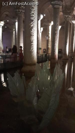 [P21] interior Cisterna Basilica, decor de sticla » foto by Yolanda
 - 
<span class="allrVoted glyphicon glyphicon-heart hidden" id="av1501901"></span>
<a class="m-l-10 hidden" id="sv1501901" onclick="voting_Foto_DelVot(,1501901,18902)" role="button">șterge vot <span class="glyphicon glyphicon-remove"></span></a>
<a id="v91501901" class=" c-red"  onclick="voting_Foto_SetVot(1501901)" role="button"><span class="glyphicon glyphicon-heart-empty"></span> <b>LIKE</b> = Votează poza</a> <img class="hidden"  id="f1501901W9" src="/imagini/loader.gif" border="0" /><span class="AjErrMes hidden" id="e1501901ErM"></span>