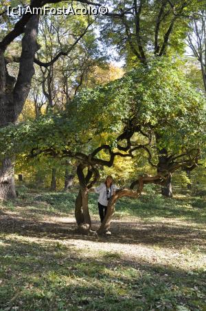 [P14] Eu prin parcul Castelului Sturza de la Miclauseni – castelul cu 100 de povesti.  » foto by Diaura*
 - 
<span class="allrVoted glyphicon glyphicon-heart hidden" id="av1065681"></span>
<a class="m-l-10 hidden" id="sv1065681" onclick="voting_Foto_DelVot(,1065681,19447)" role="button">șterge vot <span class="glyphicon glyphicon-remove"></span></a>
<a id="v91065681" class=" c-red"  onclick="voting_Foto_SetVot(1065681)" role="button"><span class="glyphicon glyphicon-heart-empty"></span> <b>LIKE</b> = Votează poza</a> <img class="hidden"  id="f1065681W9" src="/imagini/loader.gif" border="0" /><span class="AjErrMes hidden" id="e1065681ErM"></span>