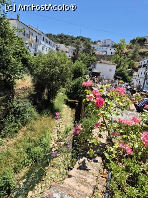 [P36] Setenil de las Bodegas - la intrare » foto by ANILU
 - 
<span class="allrVoted glyphicon glyphicon-heart hidden" id="av1487525"></span>
<a class="m-l-10 hidden" id="sv1487525" onclick="voting_Foto_DelVot(,1487525,19508)" role="button">șterge vot <span class="glyphicon glyphicon-remove"></span></a>
<a id="v91487525" class=" c-red"  onclick="voting_Foto_SetVot(1487525)" role="button"><span class="glyphicon glyphicon-heart-empty"></span> <b>LIKE</b> = Votează poza</a> <img class="hidden"  id="f1487525W9" src="/imagini/loader.gif" border="0" /><span class="AjErrMes hidden" id="e1487525ErM"></span>
