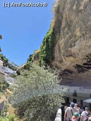 [P38] Setenil de las Bodegas - prin sat » foto by ANILU
 - 
<span class="allrVoted glyphicon glyphicon-heart hidden" id="av1487527"></span>
<a class="m-l-10 hidden" id="sv1487527" onclick="voting_Foto_DelVot(,1487527,19508)" role="button">șterge vot <span class="glyphicon glyphicon-remove"></span></a>
<a id="v91487527" class=" c-red"  onclick="voting_Foto_SetVot(1487527)" role="button"><span class="glyphicon glyphicon-heart-empty"></span> <b>LIKE</b> = Votează poza</a> <img class="hidden"  id="f1487527W9" src="/imagini/loader.gif" border="0" /><span class="AjErrMes hidden" id="e1487527ErM"></span>