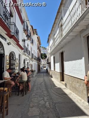 [P45] Setenil de las Bodegas - prin sat » foto by ANILU
 - 
<span class="allrVoted glyphicon glyphicon-heart hidden" id="av1487534"></span>
<a class="m-l-10 hidden" id="sv1487534" onclick="voting_Foto_DelVot(,1487534,19508)" role="button">șterge vot <span class="glyphicon glyphicon-remove"></span></a>
<a id="v91487534" class=" c-red"  onclick="voting_Foto_SetVot(1487534)" role="button"><span class="glyphicon glyphicon-heart-empty"></span> <b>LIKE</b> = Votează poza</a> <img class="hidden"  id="f1487534W9" src="/imagini/loader.gif" border="0" /><span class="AjErrMes hidden" id="e1487534ErM"></span>