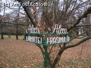 [P13] La intersecția unor alei din grădină; oare pe unde să o mai luăm?  » foto by Floryn81
 - 
<span class="allrVoted glyphicon glyphicon-heart hidden" id="av832401"></span>
<a class="m-l-10 hidden" id="sv832401" onclick="voting_Foto_DelVot(,832401,19622)" role="button">șterge vot <span class="glyphicon glyphicon-remove"></span></a>
<a id="v9832401" class=" c-red"  onclick="voting_Foto_SetVot(832401)" role="button"><span class="glyphicon glyphicon-heart-empty"></span> <b>LIKE</b> = Votează poza</a> <img class="hidden"  id="f832401W9" src="/imagini/loader.gif" border="0" /><span class="AjErrMes hidden" id="e832401ErM"></span>