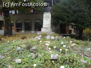 [P09] Acesta este bustul doctorului Dimitrie Grecescu, monument aflat în interiorul Grădinii Botanice din București. » foto by Floryn81
 - 
<span class="allrVoted glyphicon glyphicon-heart hidden" id="av832397"></span>
<a class="m-l-10 hidden" id="sv832397" onclick="voting_Foto_DelVot(,832397,19622)" role="button">șterge vot <span class="glyphicon glyphicon-remove"></span></a>
<a id="v9832397" class=" c-red"  onclick="voting_Foto_SetVot(832397)" role="button"><span class="glyphicon glyphicon-heart-empty"></span> <b>LIKE</b> = Votează poza</a> <img class="hidden"  id="f832397W9" src="/imagini/loader.gif" border="0" /><span class="AjErrMes hidden" id="e832397ErM"></span>