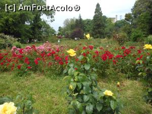 [P22]  -- <small>// FĂRĂ DESCRIERE</small> » foto by iulianic
 - 
<span class="allrVoted glyphicon glyphicon-heart hidden" id="av1367390"></span>
<a class="m-l-10 hidden" id="sv1367390" onclick="voting_Foto_DelVot(,1367390,19622)" role="button">șterge vot <span class="glyphicon glyphicon-remove"></span></a>
<a id="v91367390" class=" c-red"  onclick="voting_Foto_SetVot(1367390)" role="button"><span class="glyphicon glyphicon-heart-empty"></span> <b>LIKE</b> = Votează poza</a> <img class="hidden"  id="f1367390W9" src="/imagini/loader.gif" border="0" /><span class="AjErrMes hidden" id="e1367390ErM"></span>