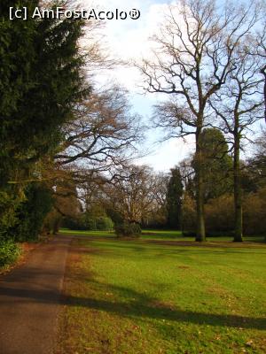 [P04] Parcul din Oosterbeek » foto by Radu Tudoran
 - 
<span class="allrVoted glyphicon glyphicon-heart hidden" id="av843388"></span>
<a class="m-l-10 hidden" id="sv843388" onclick="voting_Foto_DelVot(,843388,19676)" role="button">șterge vot <span class="glyphicon glyphicon-remove"></span></a>
<a id="v9843388" class=" c-red"  onclick="voting_Foto_SetVot(843388)" role="button"><span class="glyphicon glyphicon-heart-empty"></span> <b>LIKE</b> = Votează poza</a> <img class="hidden"  id="f843388W9" src="/imagini/loader.gif" border="0" /><span class="AjErrMes hidden" id="e843388ErM"></span>