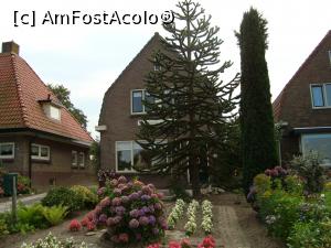 P03 [AUG-2016] Case tipic olandeze in satul daliilor... Sint Jansklooster
