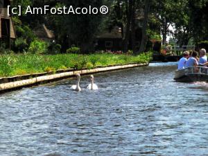 [P06] Giethoorn - și oamenii ăștia, zise el, lebădoiul, nu ne lasă în pace!  » foto by makuy*
 - 
<span class="allrVoted glyphicon glyphicon-heart hidden" id="av768971"></span>
<a class="m-l-10 hidden" id="sv768971" onclick="voting_Foto_DelVot(,768971,19677)" role="button">șterge vot <span class="glyphicon glyphicon-remove"></span></a>
<a id="v9768971" class=" c-red"  onclick="voting_Foto_SetVot(768971)" role="button"><span class="glyphicon glyphicon-heart-empty"></span> <b>LIKE</b> = Votează poza</a> <img class="hidden"  id="f768971W9" src="/imagini/loader.gif" border="0" /><span class="AjErrMes hidden" id="e768971ErM"></span>