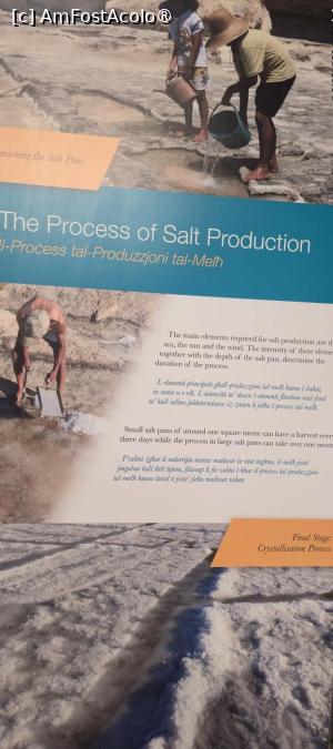 [P31] 31. Unul din panourile expoziționale din muzeu. » foto by msnd
 - 
<span class="allrVoted glyphicon glyphicon-heart hidden" id="av1503789"></span>
<a class="m-l-10 hidden" id="sv1503789" onclick="voting_Foto_DelVot(,1503789,19760)" role="button">șterge vot <span class="glyphicon glyphicon-remove"></span></a>
<a id="v91503789" class=" c-red"  onclick="voting_Foto_SetVot(1503789)" role="button"><span class="glyphicon glyphicon-heart-empty"></span> <b>LIKE</b> = Votează poza</a> <img class="hidden"  id="f1503789W9" src="/imagini/loader.gif" border="0" /><span class="AjErrMes hidden" id="e1503789ErM"></span>