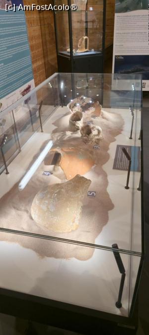 [P32] 32. Resturi de amfore din secolele VIII - X, folosite pentru depozitarea sării. » foto by msnd
 - 
<span class="allrVoted glyphicon glyphicon-heart hidden" id="av1503790"></span>
<a class="m-l-10 hidden" id="sv1503790" onclick="voting_Foto_DelVot(,1503790,19760)" role="button">șterge vot <span class="glyphicon glyphicon-remove"></span></a>
<a id="v91503790" class=" c-red"  onclick="voting_Foto_SetVot(1503790)" role="button"><span class="glyphicon glyphicon-heart-empty"></span> <b>LIKE</b> = Votează poza</a> <img class="hidden"  id="f1503790W9" src="/imagini/loader.gif" border="0" /><span class="AjErrMes hidden" id="e1503790ErM"></span>