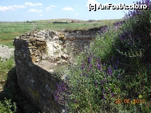 P24 [MAY-2013] Halmyris - Dintre ruinele cetăţii, în plan îndepărtat, se vede Mănăstirea Halmyris cu biserica în construcţie. 